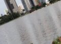 #capivarou: Foto da nossa diva postada pelo jornalista Luiz Carlos Benitt