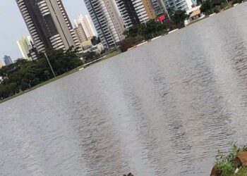 #capivarou: Foto da nossa diva postada pelo jornalista Luiz Carlos Benitt