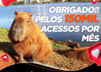 Portal Capivara News agradece por atingir a marca de 150 mil acessos
