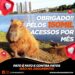 Portal Capivara News agradece por atingir a marca de 150 mil acessos
