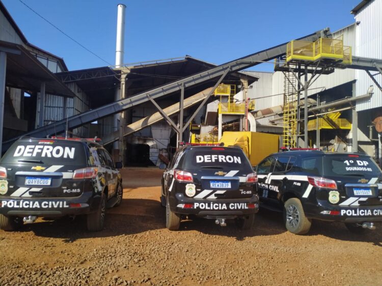 Mais de 30 toneladas de drogas apreendidas na fronteira são incineradas pela Defron