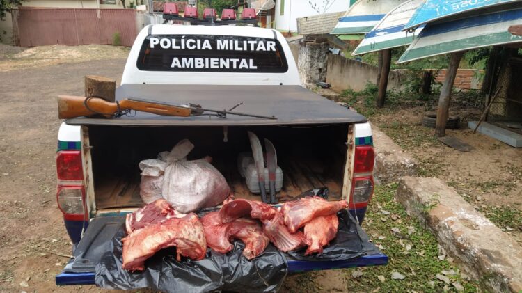 Caçadores são presos e multados em R$ 10,5 mil por caçar e abater porcos silvestres