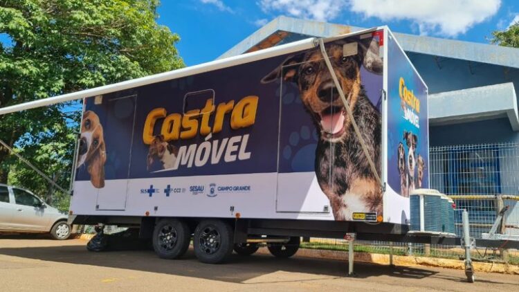 Castramóvel na Capital em dois meses já esterilizou 180 animais através do CCZ