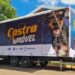 Castramóvel na Capital em dois meses já esterilizou 180 animais através do CCZ