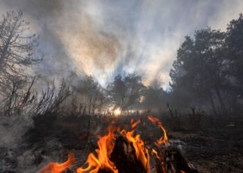 Cientistas afirmam que a Terra entrou em um “colapso irreversível”