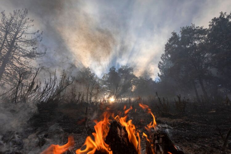 Cientistas afirmam que a Terra entrou em um “colapso irreversível”