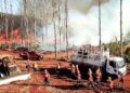Pronta atuação dos bombeiros reduzem em 81% focos de calor no Pantanal