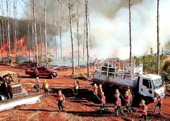 Pronta atuação dos bombeiros reduzem em 81% focos de calor no Pantanal