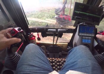 Prefeitura oferta mais de 1 mil vagas nesta quarta: 40 são para operador de colhedor florestal