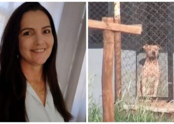 Mulher morre ao chegar em casa com caixa de pizza e ser atacada por pitbulls