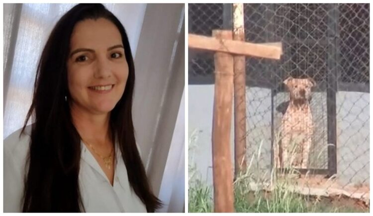Mulher morre ao chegar em casa com caixa de pizza e ser atacada por pitbulls
