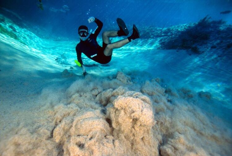 Cadastro para o programa Incentiva+MS Turismo começa amanhã