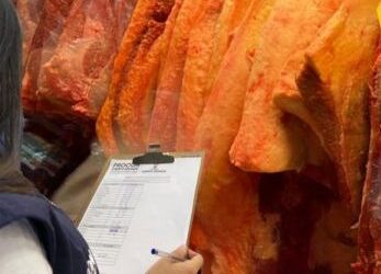 Preço da carne tem variação de 189% na Capital, de acordo com Procon