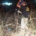 Mulher é encontrada morta e com sinais de estupro e estrangulamento