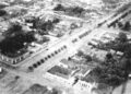 Figueiras da Afonso Pena: Campo Grande celebra “niver” e centenário das árvores históricas