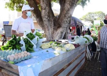 Feira Segura do Senar/MS auxilia horticultor na retomada das vendas