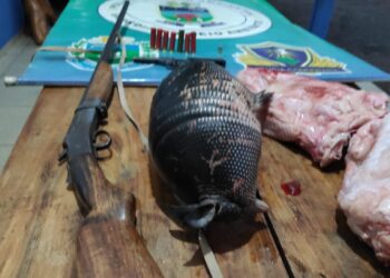 Caçador é preso com tatu abatido, carne de sucuri, armas e munições ilegais