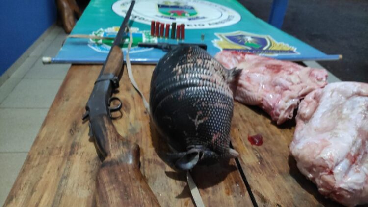 Caçador é preso com tatu abatido, carne de sucuri, armas e munições ilegais