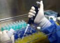 Agosto registra menor número de mortes e casos por covid no ano em MS