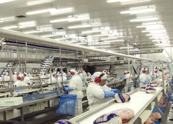 Medidas de biossegurança e vacinação de funcionários ajudam setor industrial em MS