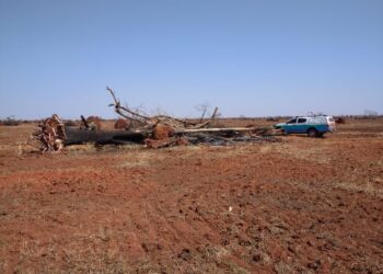Homem é multado em R$ 97 mil por incêndio em pastagem pela 2ª vez em 15 dias