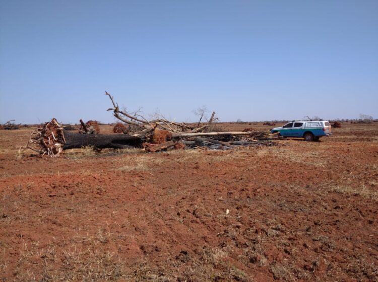 Homem é multado em R$ 97 mil por incêndio em pastagem pela 2ª vez em 15 dias