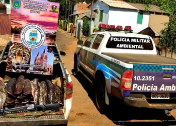Em Aquidauana, pescador é multado em R$ 10 mil e tem 240 kg de pescado apreendido