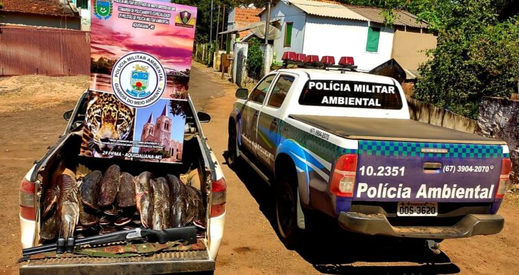 Em Aquidauana, pescador é multado em R$ 10 mil e tem 240 kg de pescado apreendido