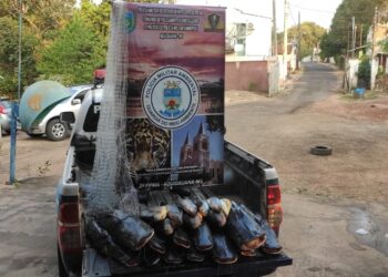 Pescador é autuado em R$ 5 mil e tem 134 kg de pescado e chalana apreendida