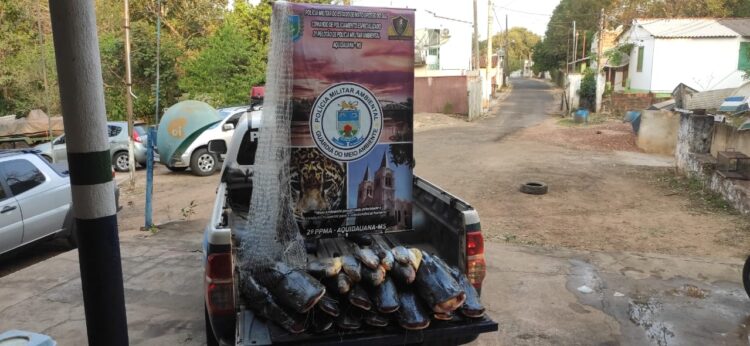 Pescador é autuado em R$ 5 mil e tem 134 kg de pescado e chalana apreendida