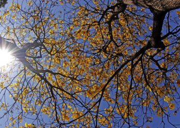 Semana de tempo firme e aumento de temperaturas em todo Estado