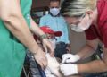 MS ultrapassa três milhões de doses aplicadas da vacina contra Covid-19