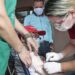 MS ultrapassa três milhões de doses aplicadas da vacina contra Covid-19
