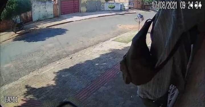 Vídeo: Em plena luz do dia, ladrão pula muro de casa para furtar no Santo Amaro