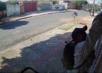 Vídeo: Em plena luz do dia, ladrão pula muro de casa para furtar no Santo Amaro