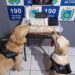 Cão farejador Barth ajuda PM a desmantelar mais uma rede de comércio de drogas