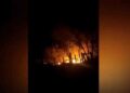 Parque dos Poderes é novamente alvo de incêndio, desta vez ao lado da sede da PM