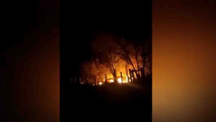 Parque dos Poderes é novamente alvo de incêndio, desta vez ao lado da sede da PM