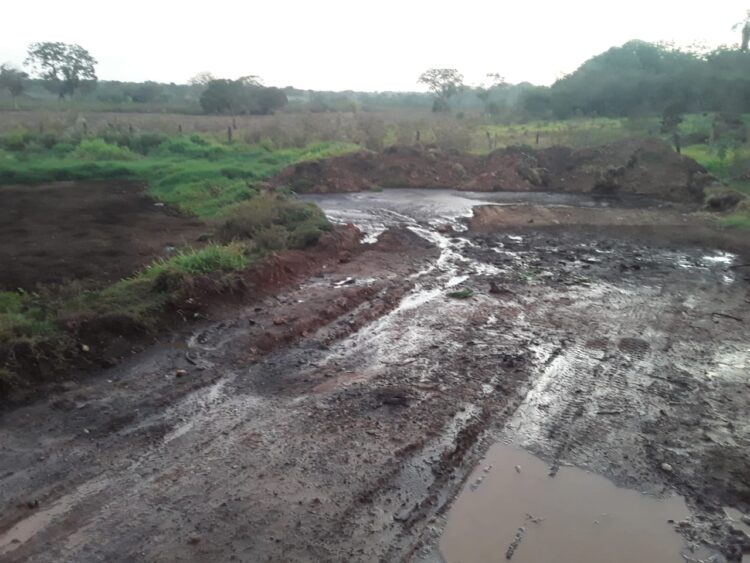 Lava-jato é interditado e dono multado em R$ 5 mil por crime ambiental em MS