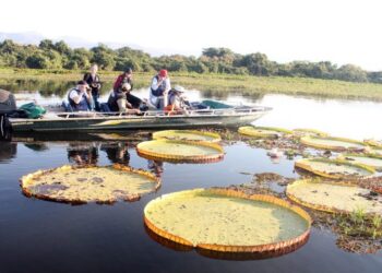 Turismo do MS é apresentado para agentes de viagens de 17 países da América Latina