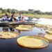 Turismo do MS é apresentado para agentes de viagens de 17 países da América Latina