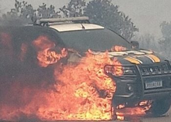Vento espalha rapidamente fogo em vegetação que atinge viatura da PRF