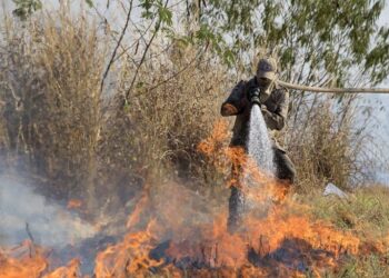 Instituto promove campanha de arrecadação de água para brigadistas do Pantanal