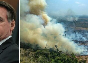 Desmatamento da Amazônia é o maior para mês de agosto em dez anos