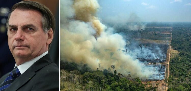 Desmatamento da Amazônia é o maior para mês de agosto em dez anos
