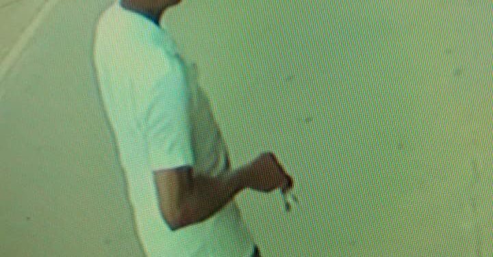 Câmeras flagram idoso furtando bicicletas em bairro e fotos repercutem na web