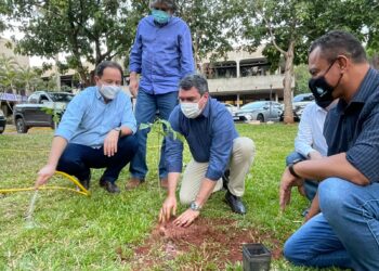 Diretoria da Sanesul destaca importância do plantio de árvores para o meio ambiente