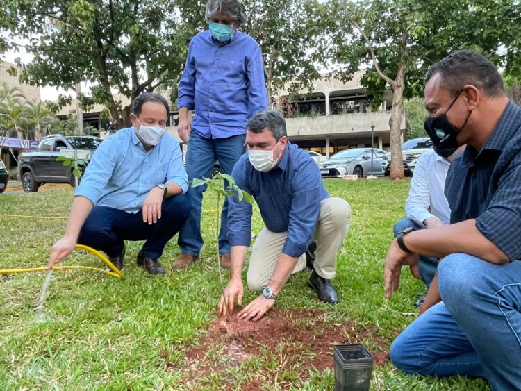 Diretoria da Sanesul destaca importância do plantio de árvores para o meio ambiente