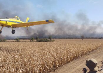 Combate aos incêndios no Pantanal mobiliza 510 homens e 6 aeronaves: focos são menor em 3 anos críticos