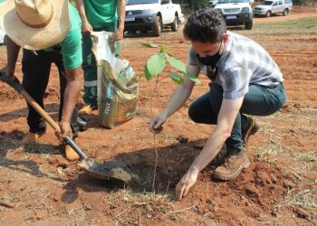 Águas Guariroba doa 500 mudas para recuperação de áreas incendiadas no Parque dos Poderes